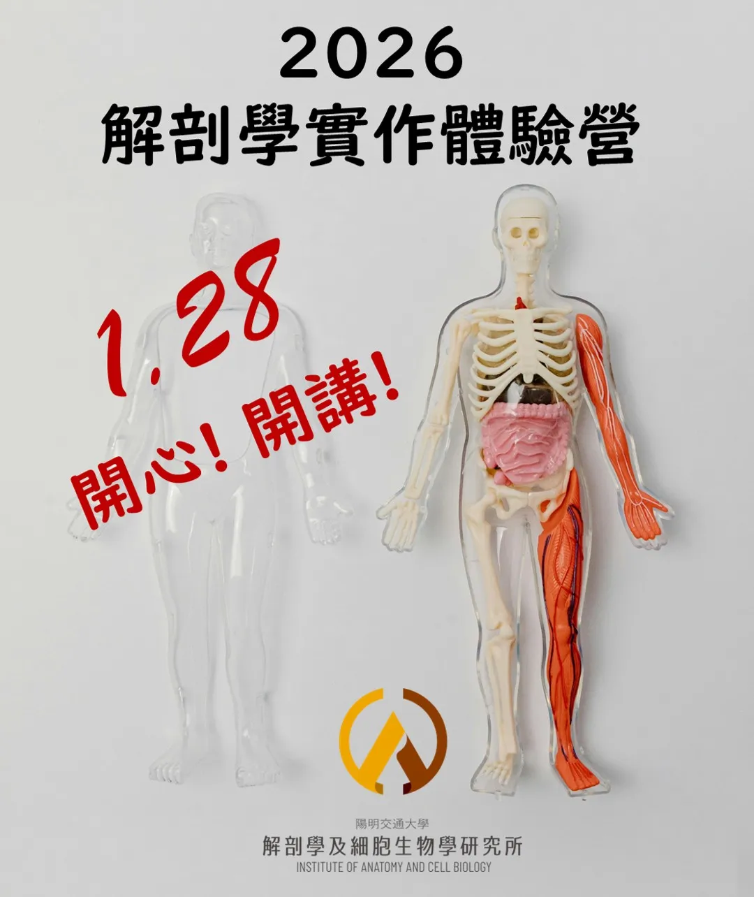 解剖學實作體驗營